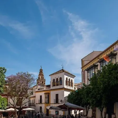 Apartment Premium - Arcos De Medina 202